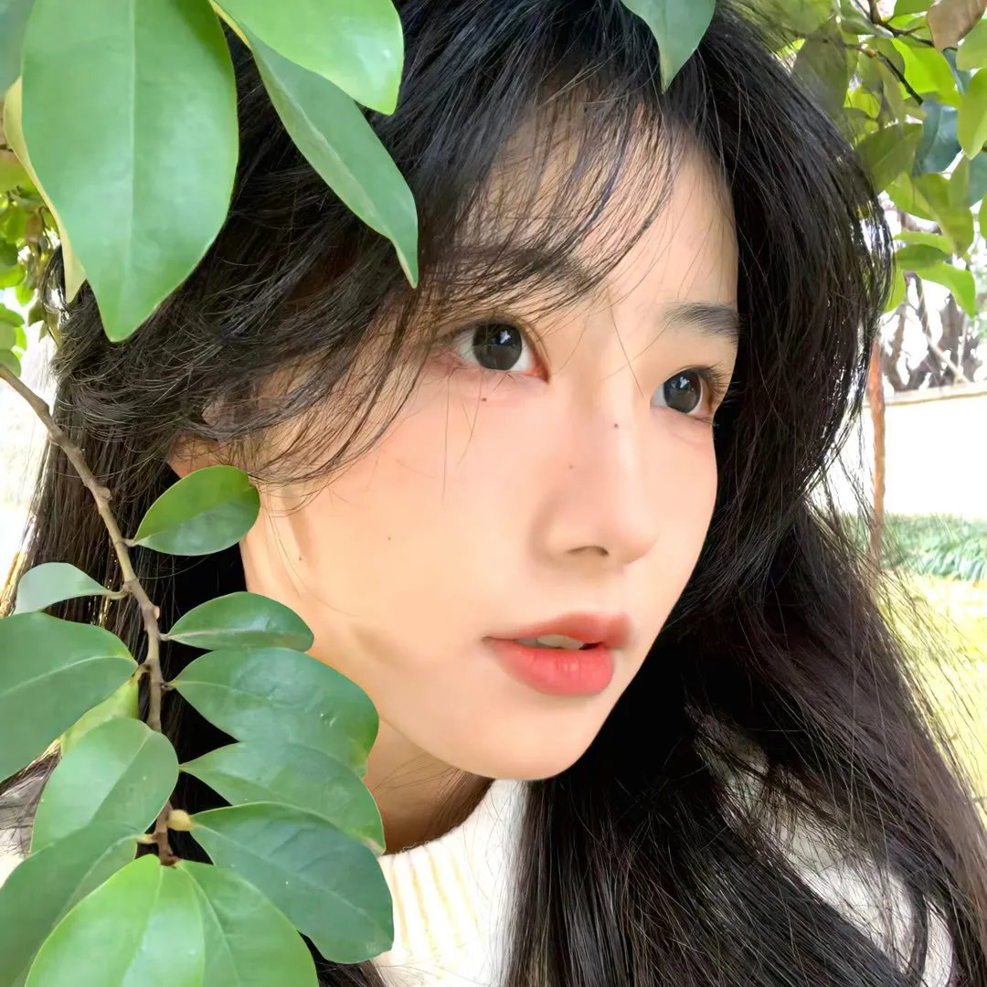 阴谋：亲爱的艾格尼丝